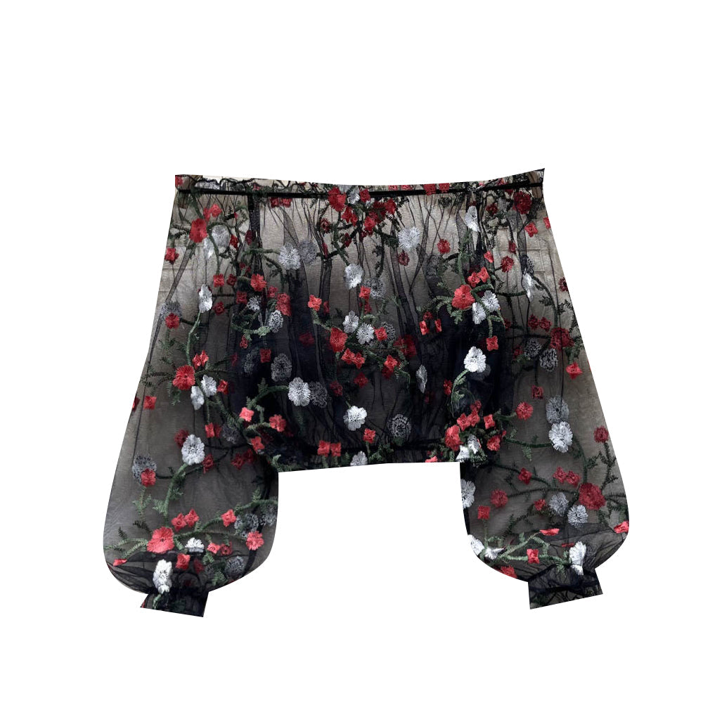 Vintage Off-shoulder Black Mesh Top