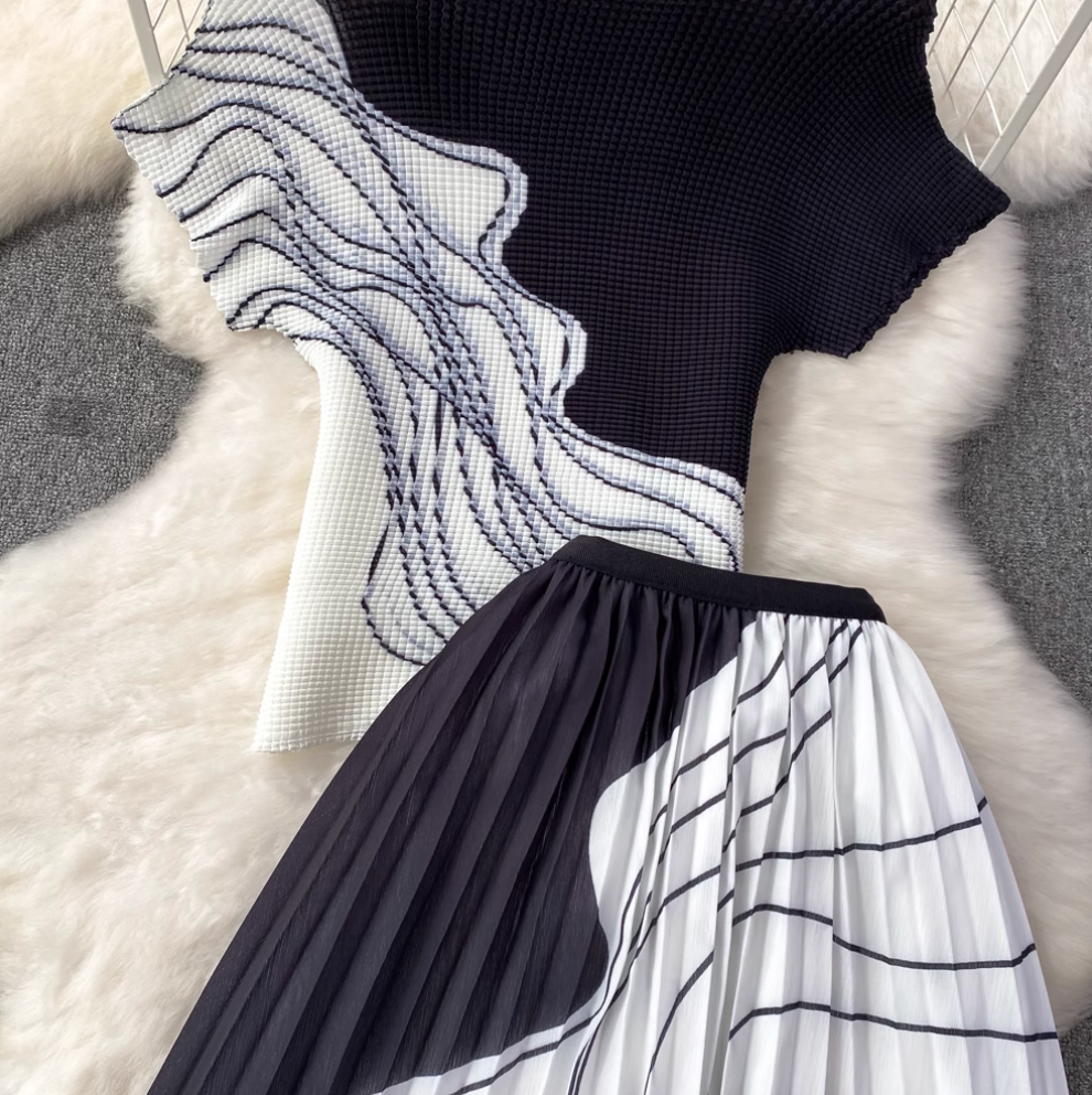 Knitwear & Pleated Skirt Printed 2Pcs