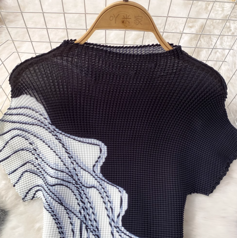 Knitwear & Pleated Skirt Printed 2Pcs