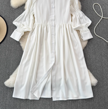 V-neck Floral Camisole & Shirt Dress 2Pcs