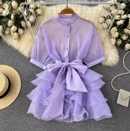 Niche Bow-tie Ruffled Shirt Dress