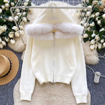 Furry Hooded Patchwork Hoodie