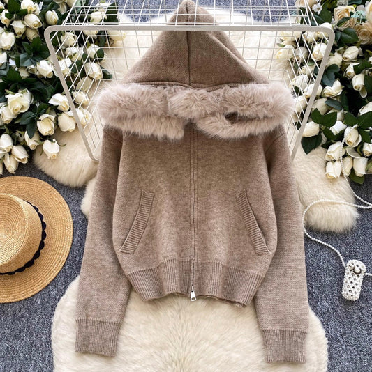 Furry Hooded Patchwork Hoodie