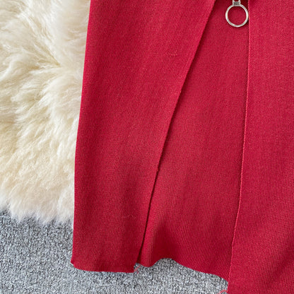 Bodycon Knit Dress with Front Zipper