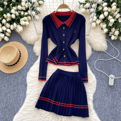 Color Blocking Knitwear&Pleated Skirt 2Pcs