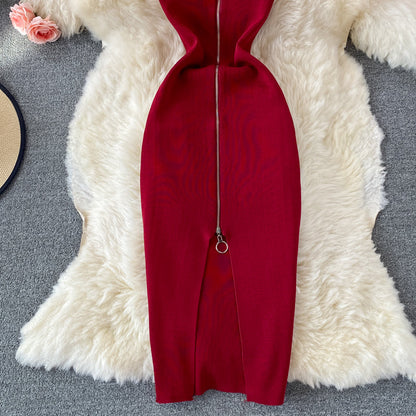 Bodycon Knit Dress with Front Zipper