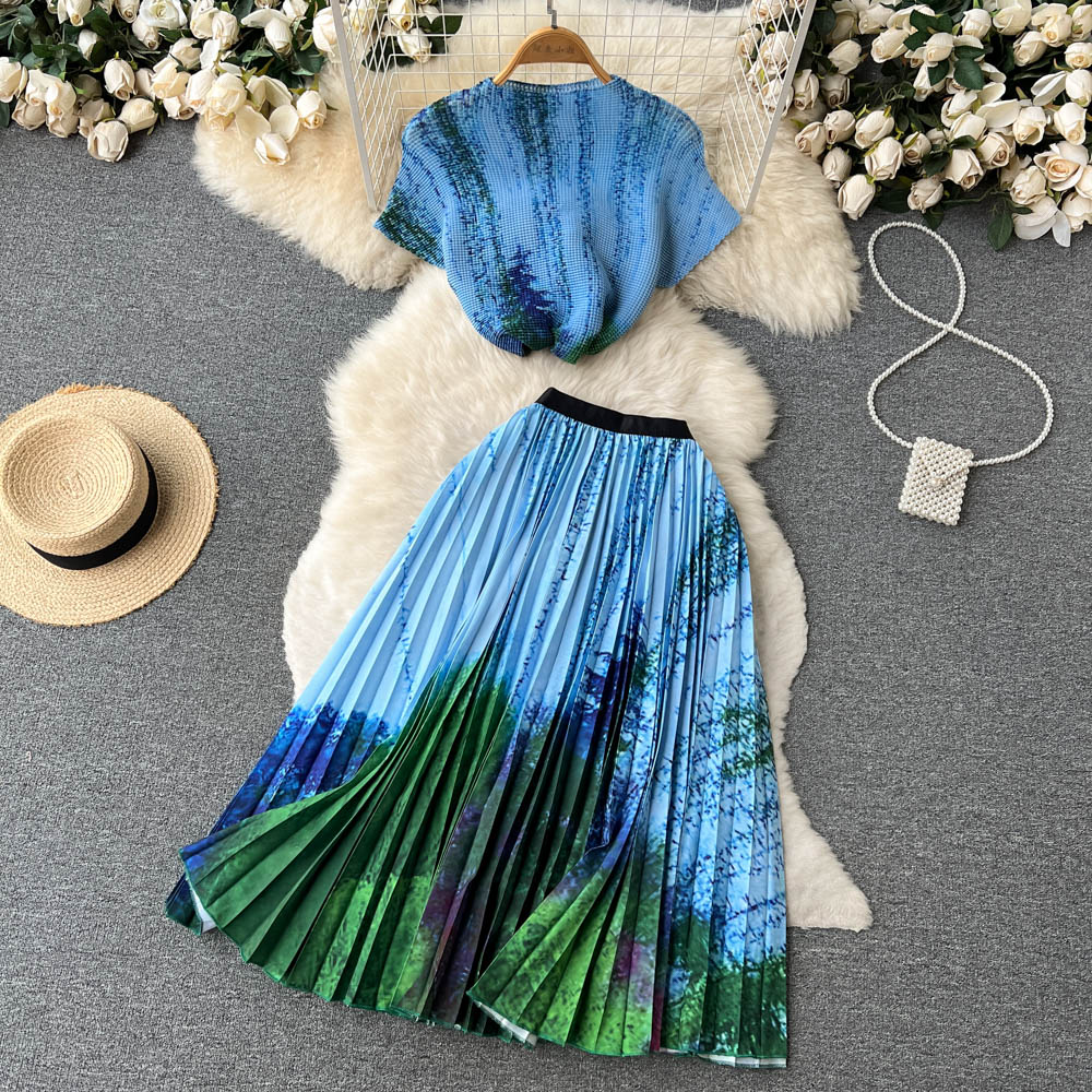 Printed T-shirt&Pleated Skirt 2Pcs