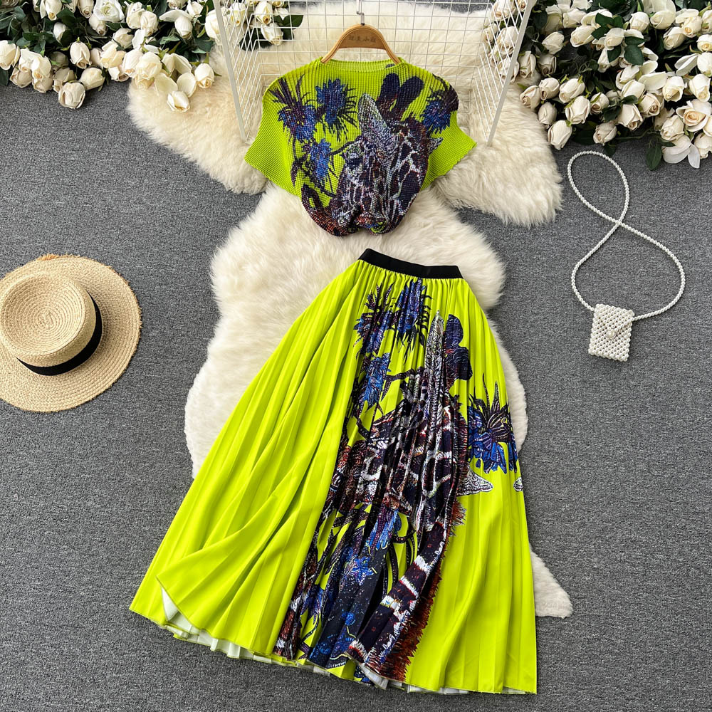 Printed T-shirt&Pleated Skirt 2Pcs